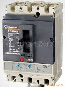 樂清市若望電器開關廠與拔動開關的專業解析